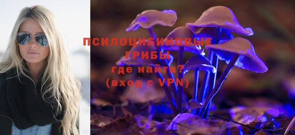 скорость Гусев