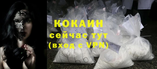 хмурый Гусь-Хрустальный