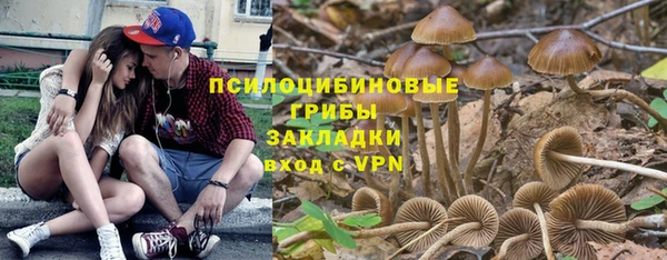 хмурый Гусь-Хрустальный