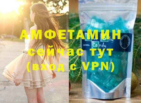 хмурый Гусь-Хрустальный