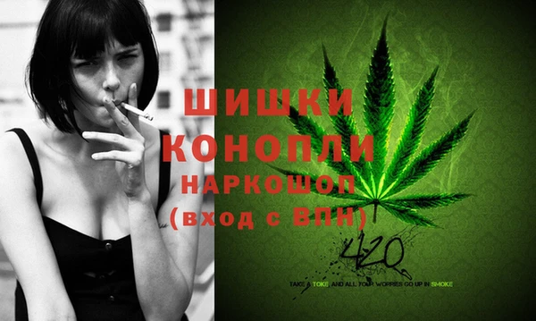 скорость Гусев