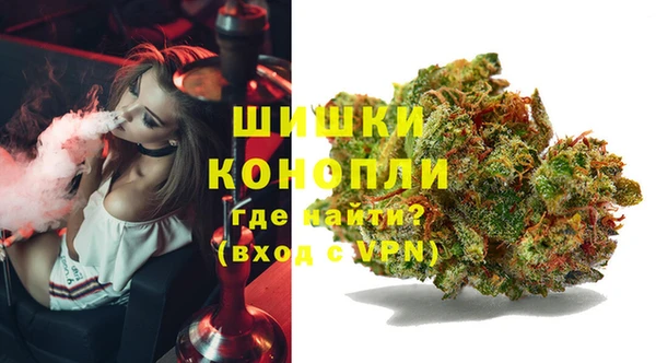 скорость Гусев