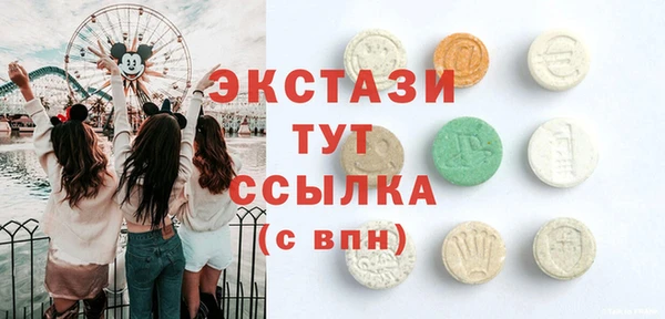 хмурый Гусь-Хрустальный