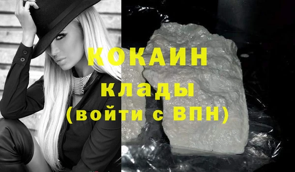 хмурый Гусь-Хрустальный
