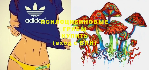 хмурый Гусь-Хрустальный