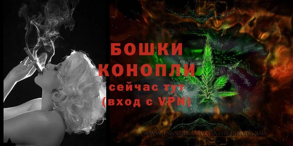 хмурый Гусь-Хрустальный